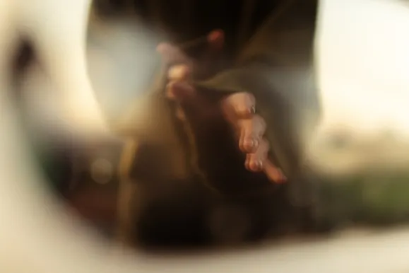 카지노 로열 슬롯츠 지원